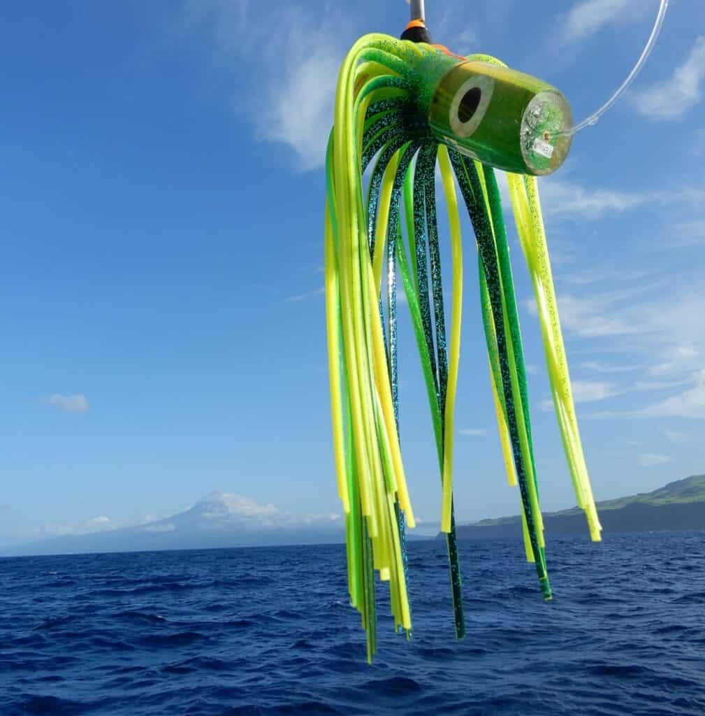 Fishing in Azores, Portugal