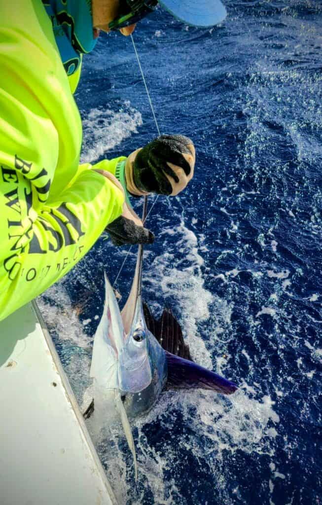 Key West Fisher with a sailfish in Key West, FL